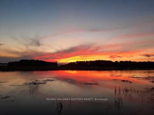 2 Franklin Street • Curve Lake First Nation 35, ON photo 50