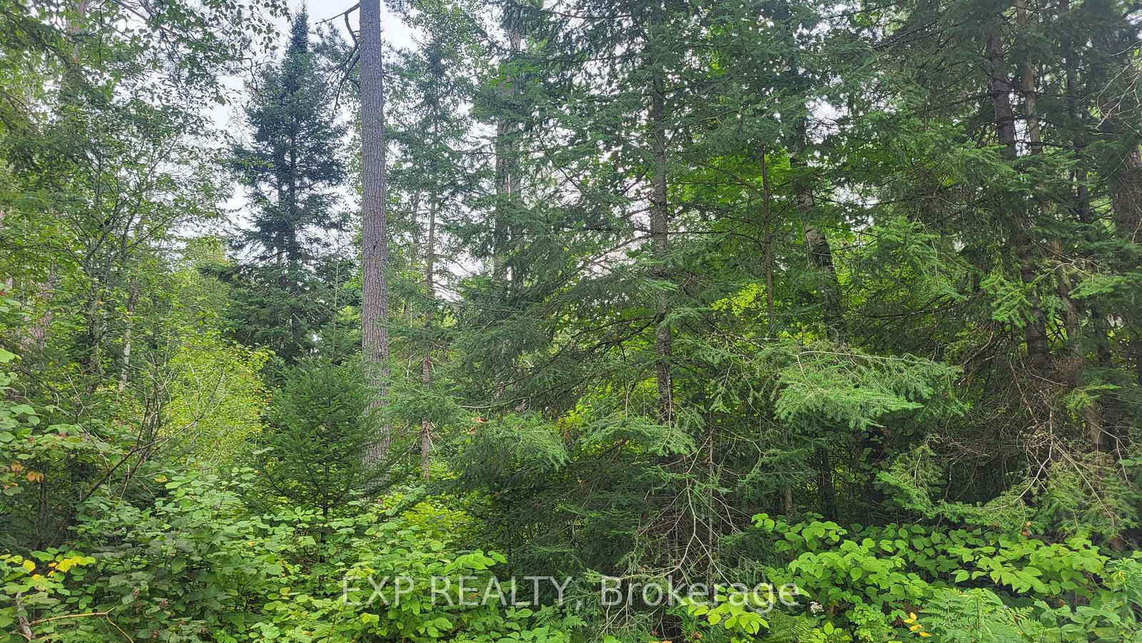 00 Sipolins Road • Griffith, ON photo 43