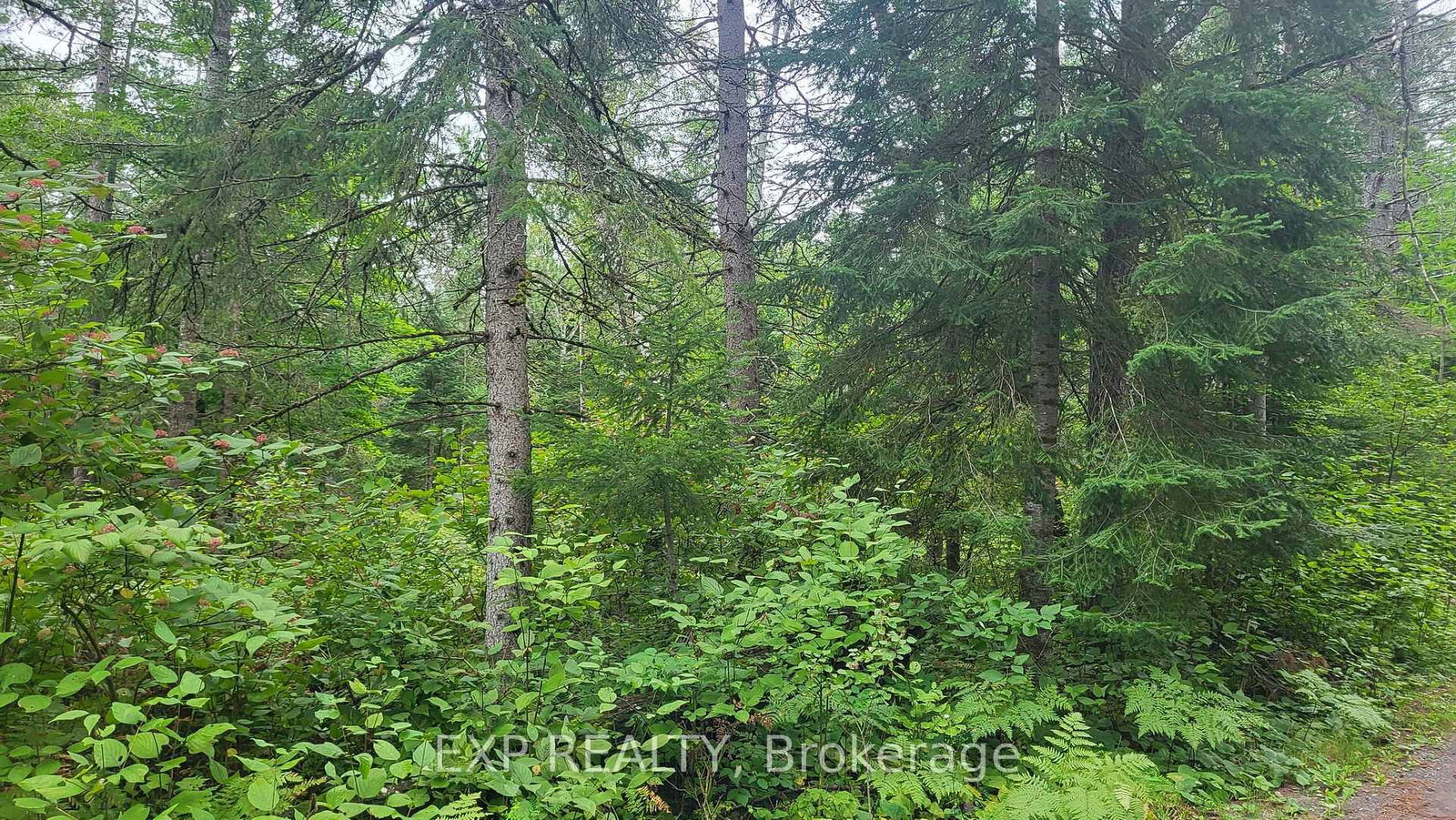 00 Sipolins Road • Griffith, ON photo 47