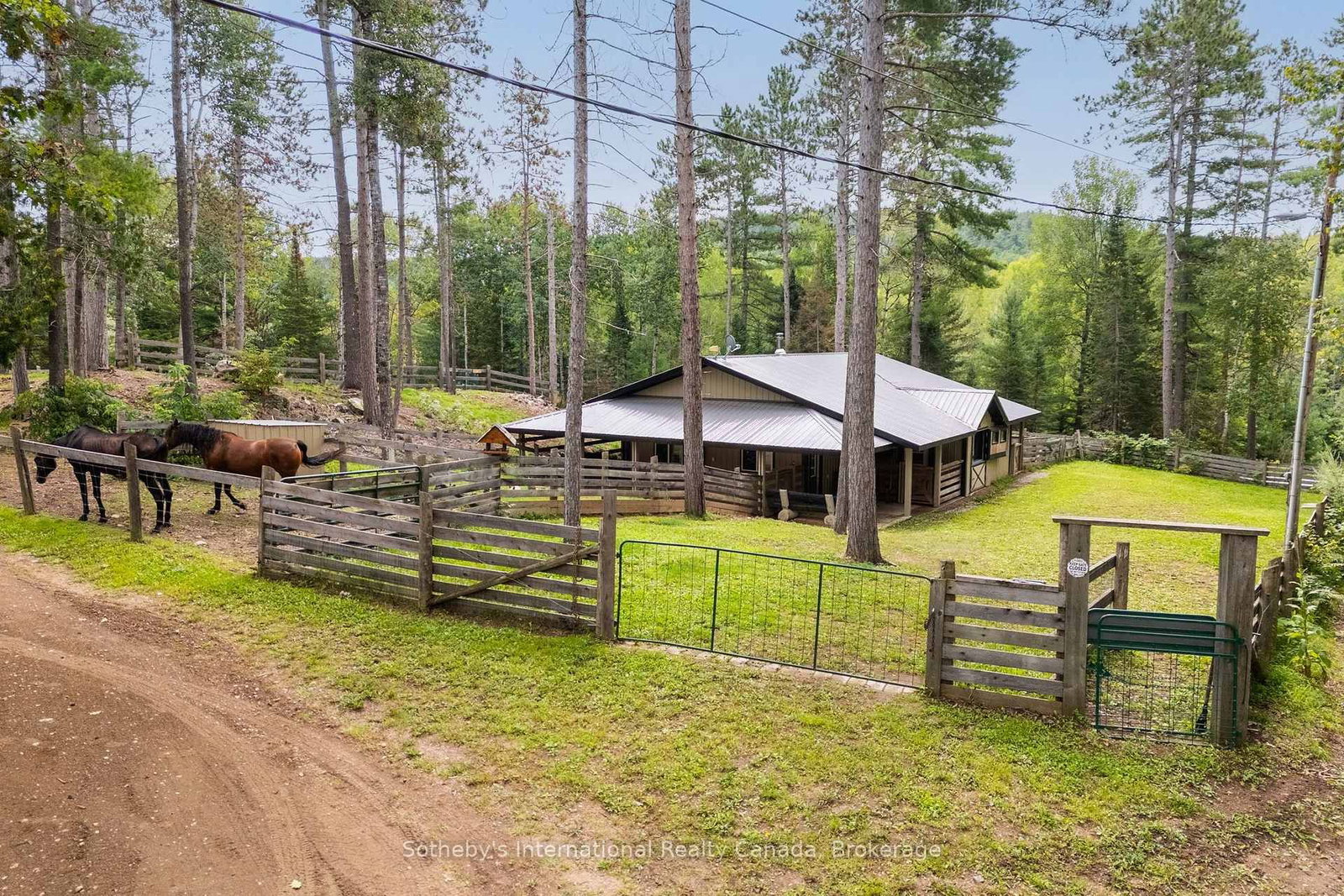 362 Cameron Lake Road • Palmer Rapids, ON photo 33