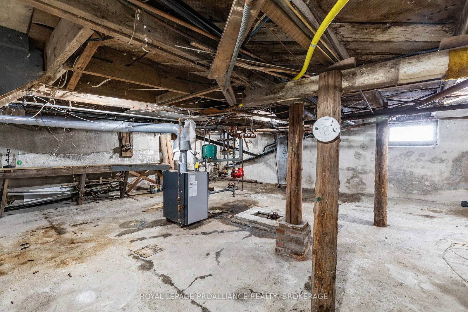 153 Macdonnell Street • Kingston, ON photo 9