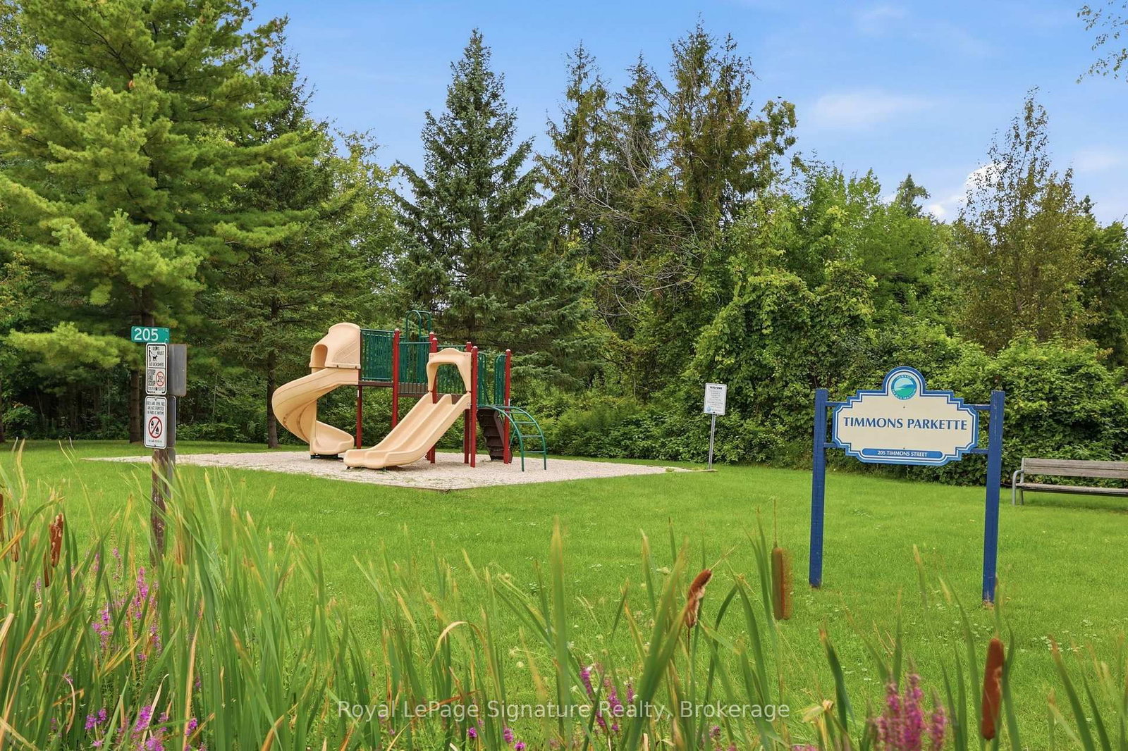 200 TIMMONS Street • Blue Mountains, ON photo 27