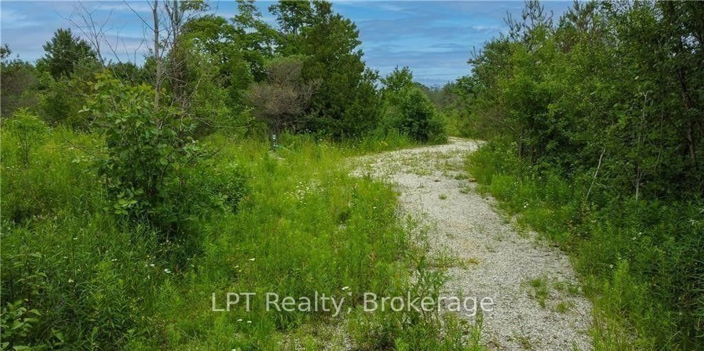 150 LINDSAY ROAD 40 • Northern Bruce Peninsula, ON photo 10