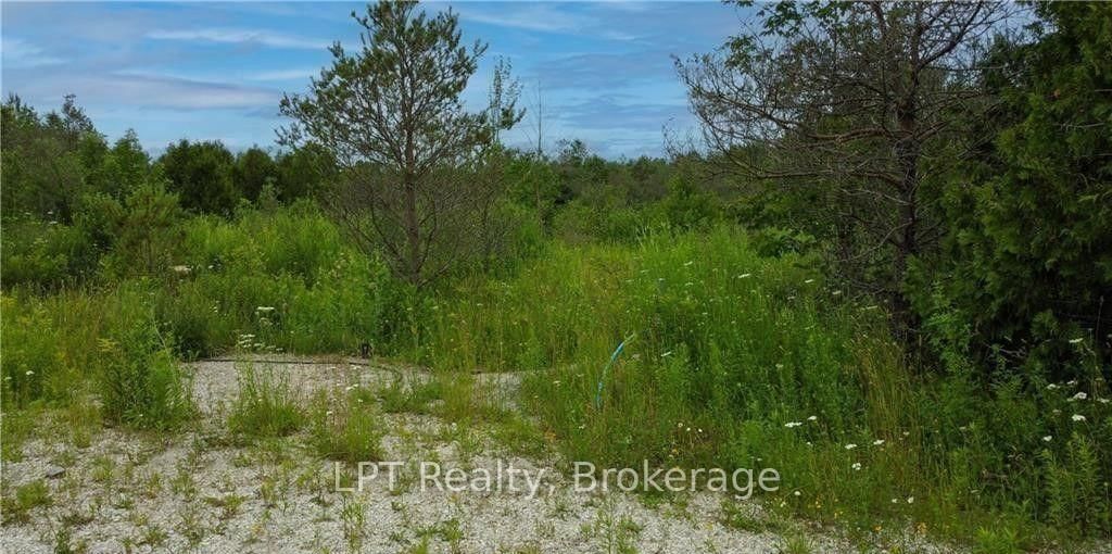 150 LINDSAY ROAD 40 • Northern Bruce Peninsula, ON photo 15