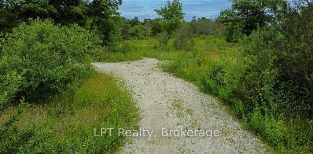 150 LINDSAY ROAD 40 • Northern Bruce Peninsula, ON photo 4