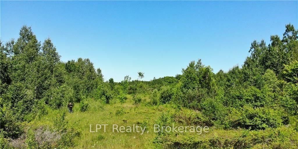 150 LINDSAY ROAD 40 • Northern Bruce Peninsula, ON photo 6