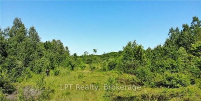 150 LINDSAY ROAD 40 • Northern Bruce Peninsula, ON photo 6