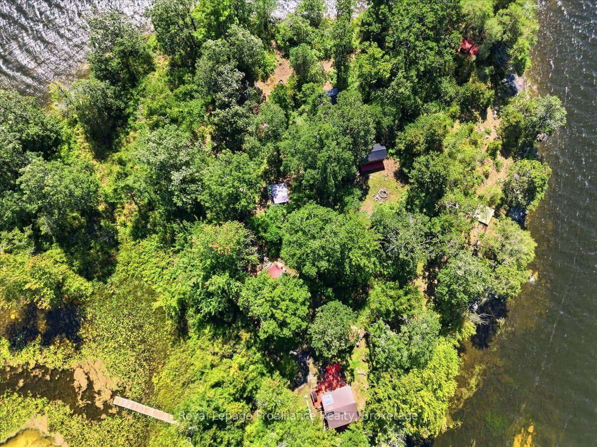 14C Boat Launch Road • Madoc, ON photo 37
