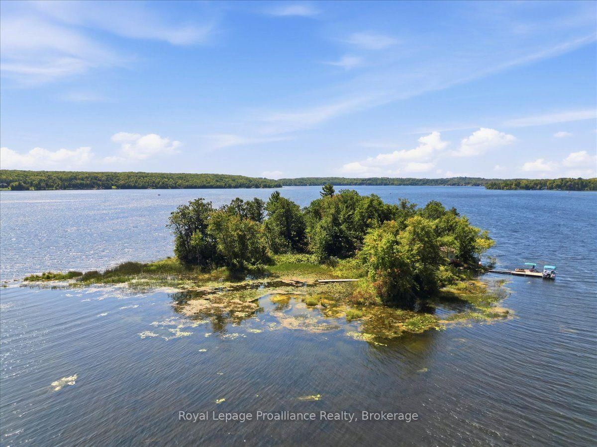 14C Boat Launch Road • Madoc, ON photo 45