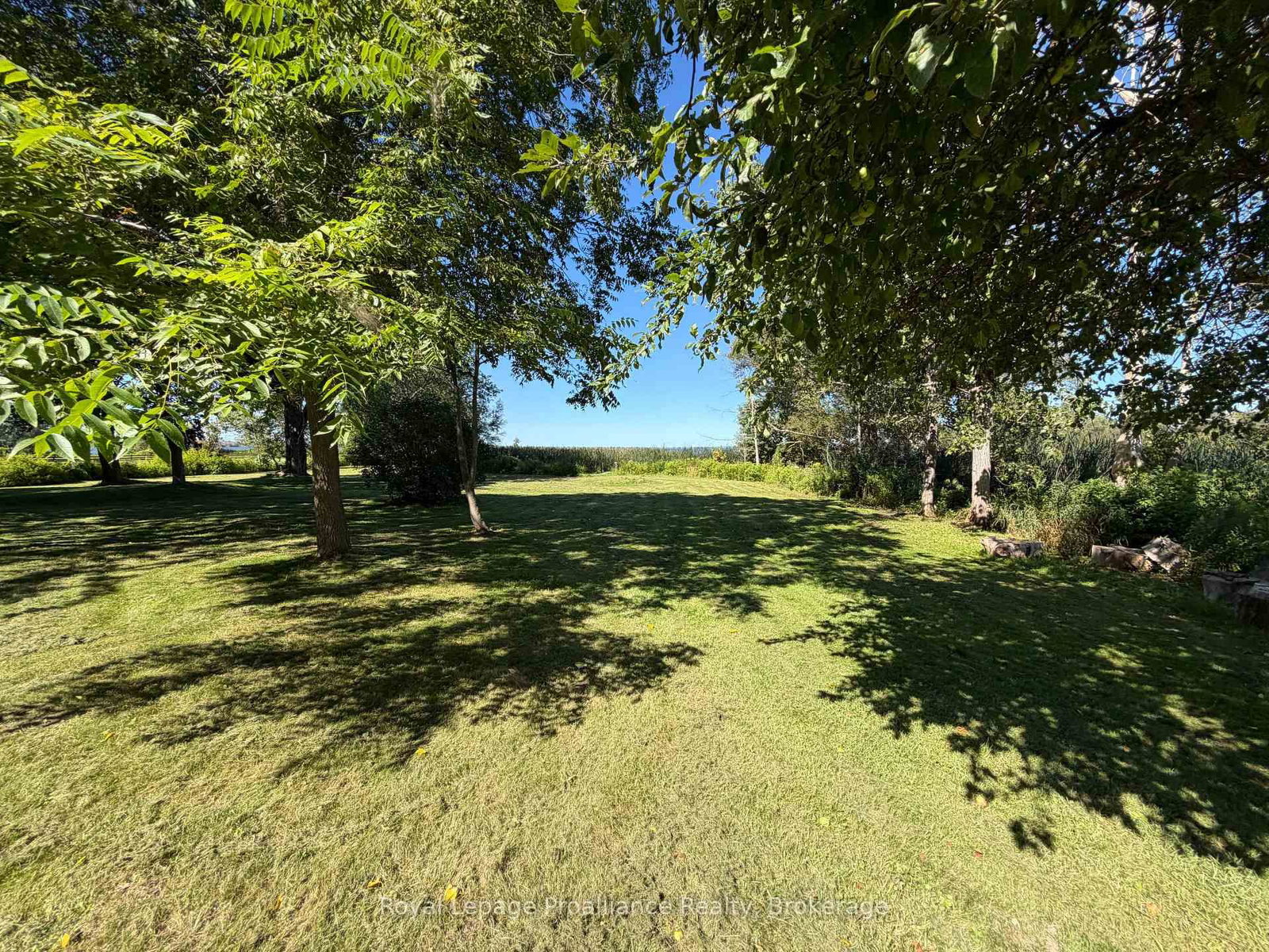 311E County Rd 29 Road • Prince Edward County, ON photo 24