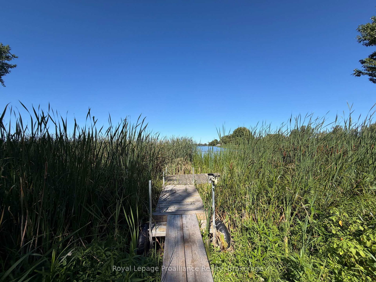 311E County Rd 29 Road • Prince Edward County, ON photo 25