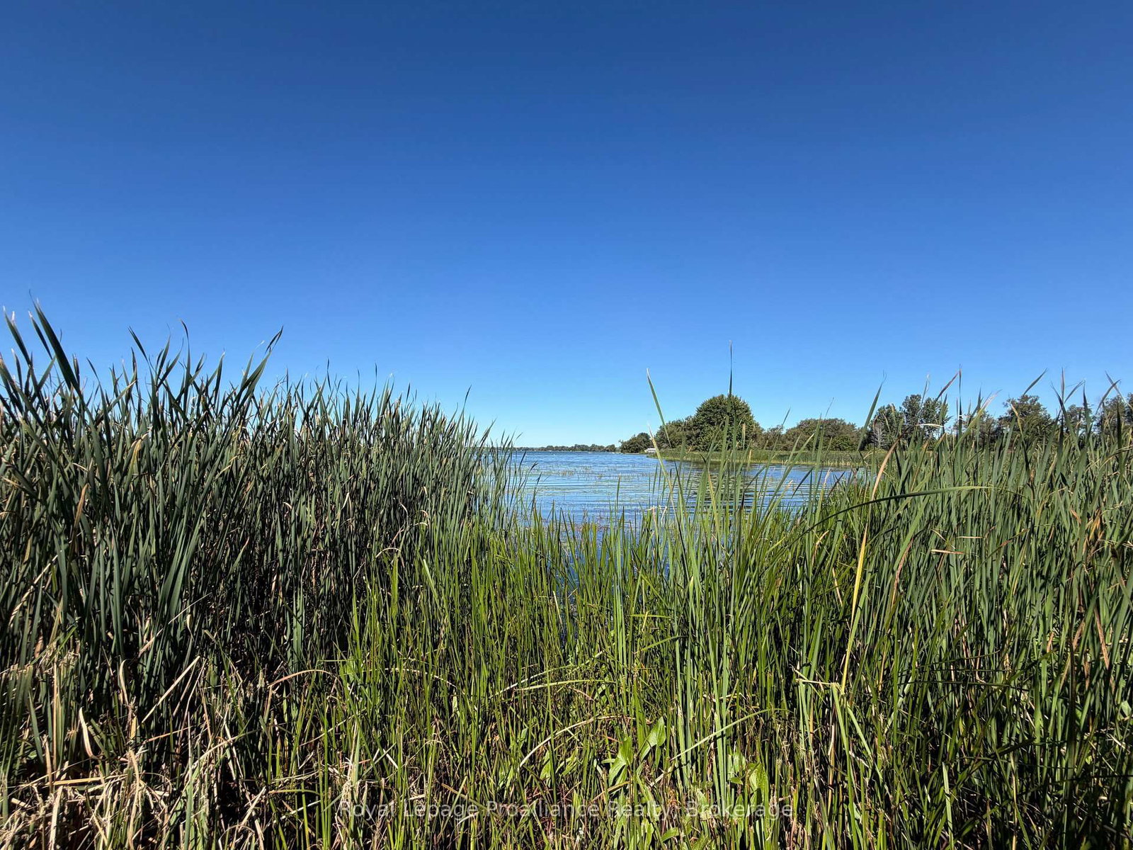 311E County Rd 29 Road • Prince Edward County, ON photo 26