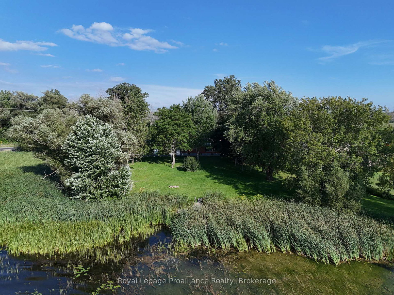 311E County Rd 29 Road • Prince Edward County, ON photo 29