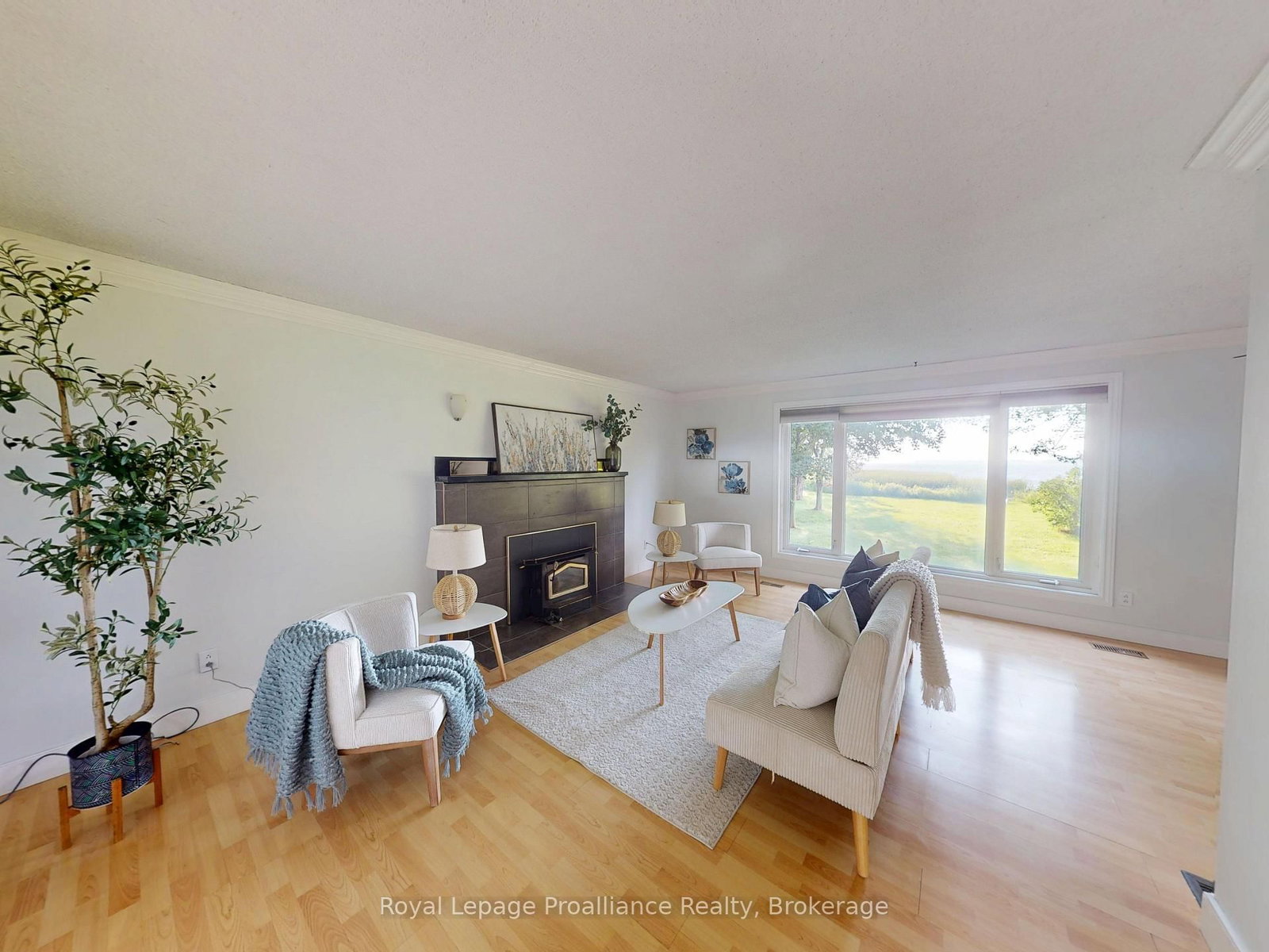 311E County Rd 29 Road • Prince Edward County, ON photo 4