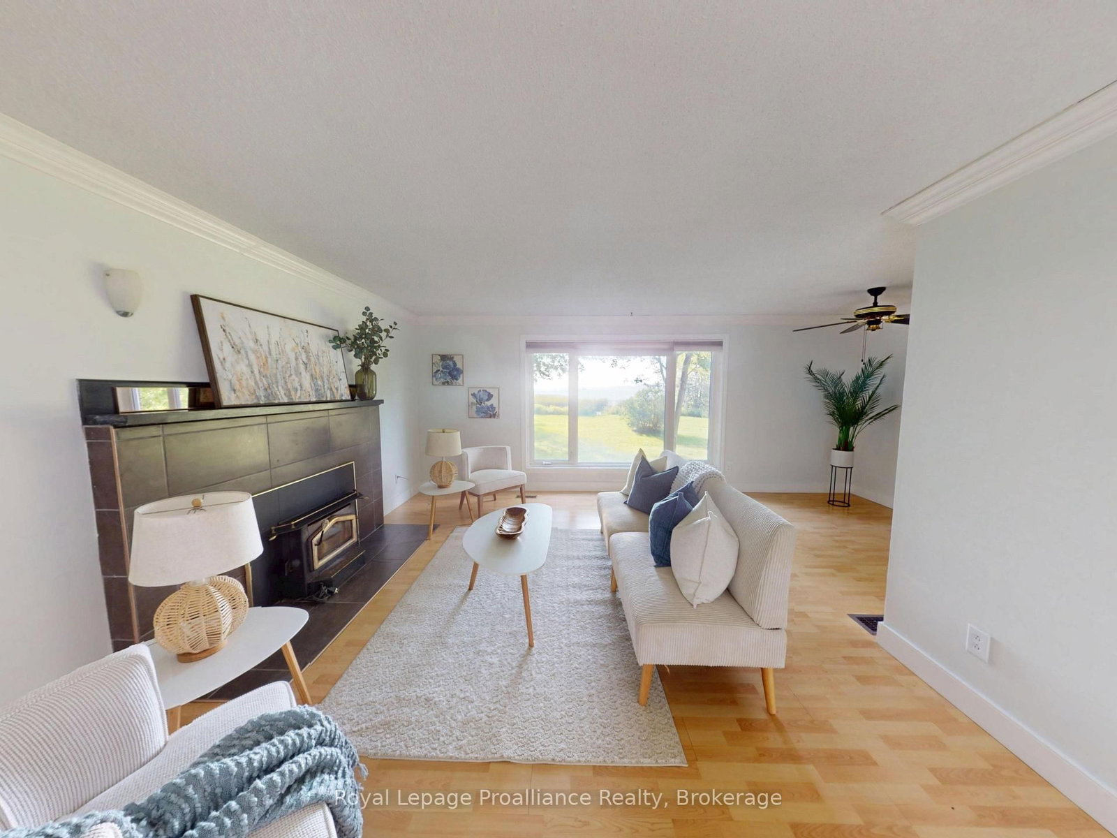 311E County Rd 29 Road • Prince Edward County, ON photo 5