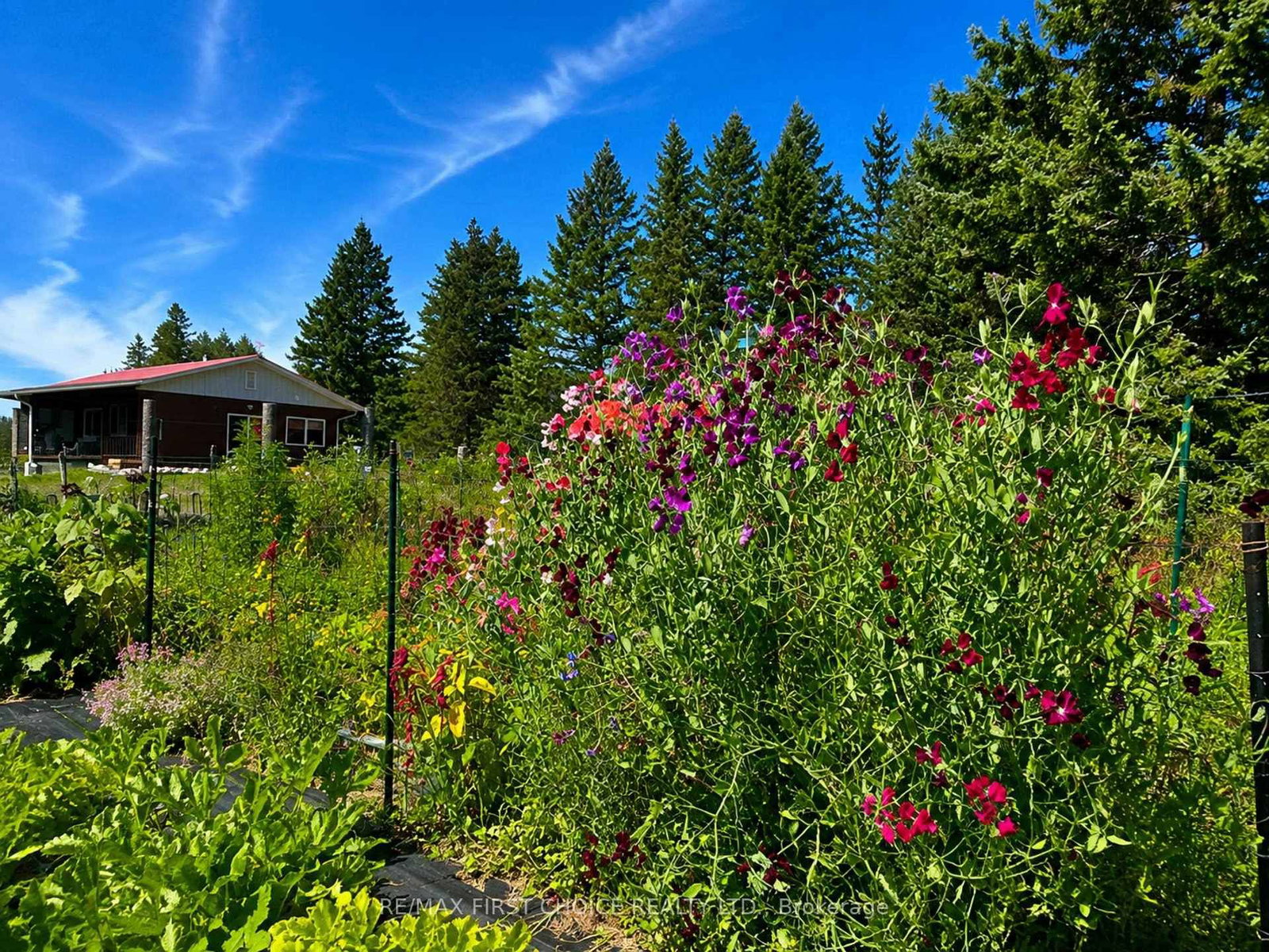 PCL23545 SEC 16 Lauzon Road • Rainy River Remote Area, ON photo 8