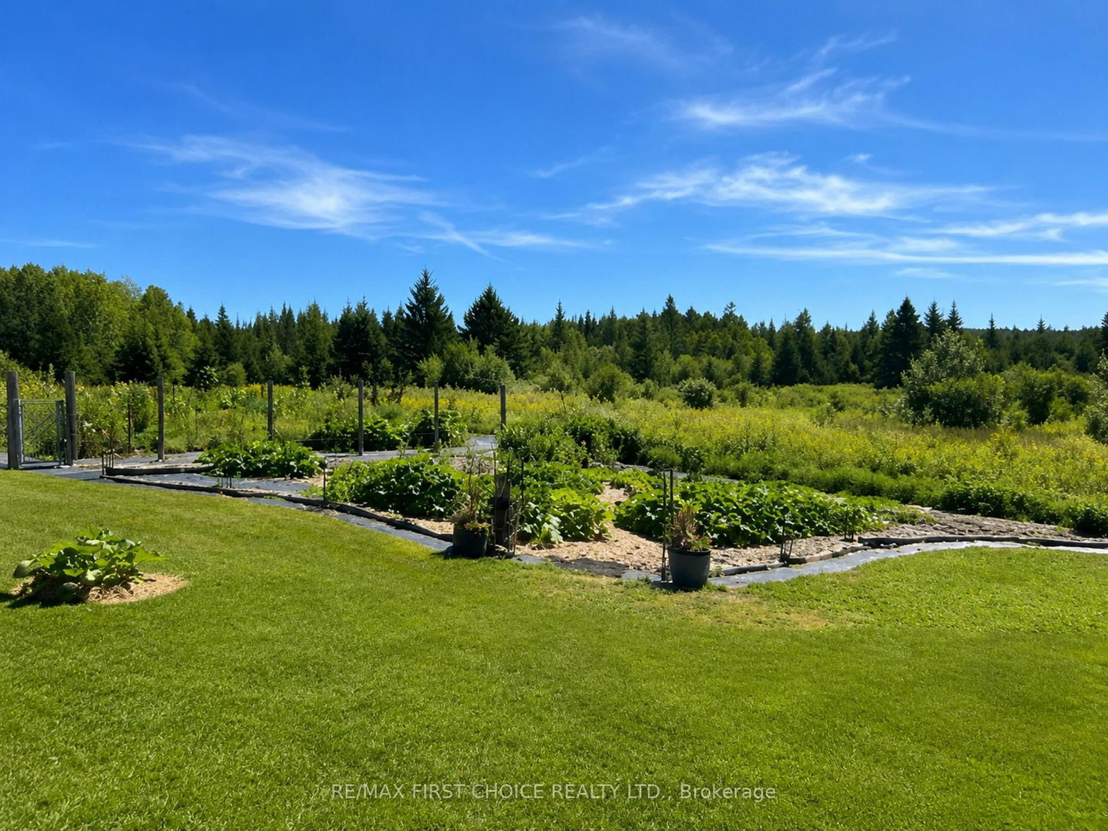 PCL23545 SEC 16 Lauzon Road • Rainy River Remote Area, ON photo 10