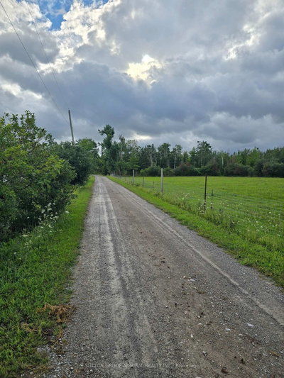 534 Cedar Glen Road • Kawartha Lakes, ON photo 9