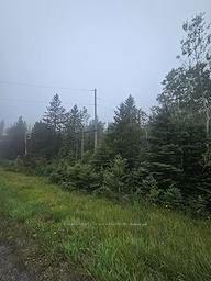 5937 Highway 11/17 • Thunder Bay Remote Area, ON photo 2