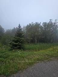 5937 Highway 11/17 • Thunder Bay Remote Area, ON photo 3