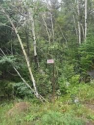 5937 Highway 11/17 • Thunder Bay Remote Area, ON photo 5