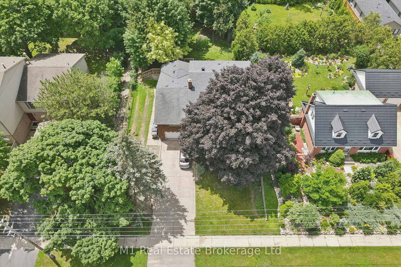 53 Janefield Avenue • Guelph, ON photo 8