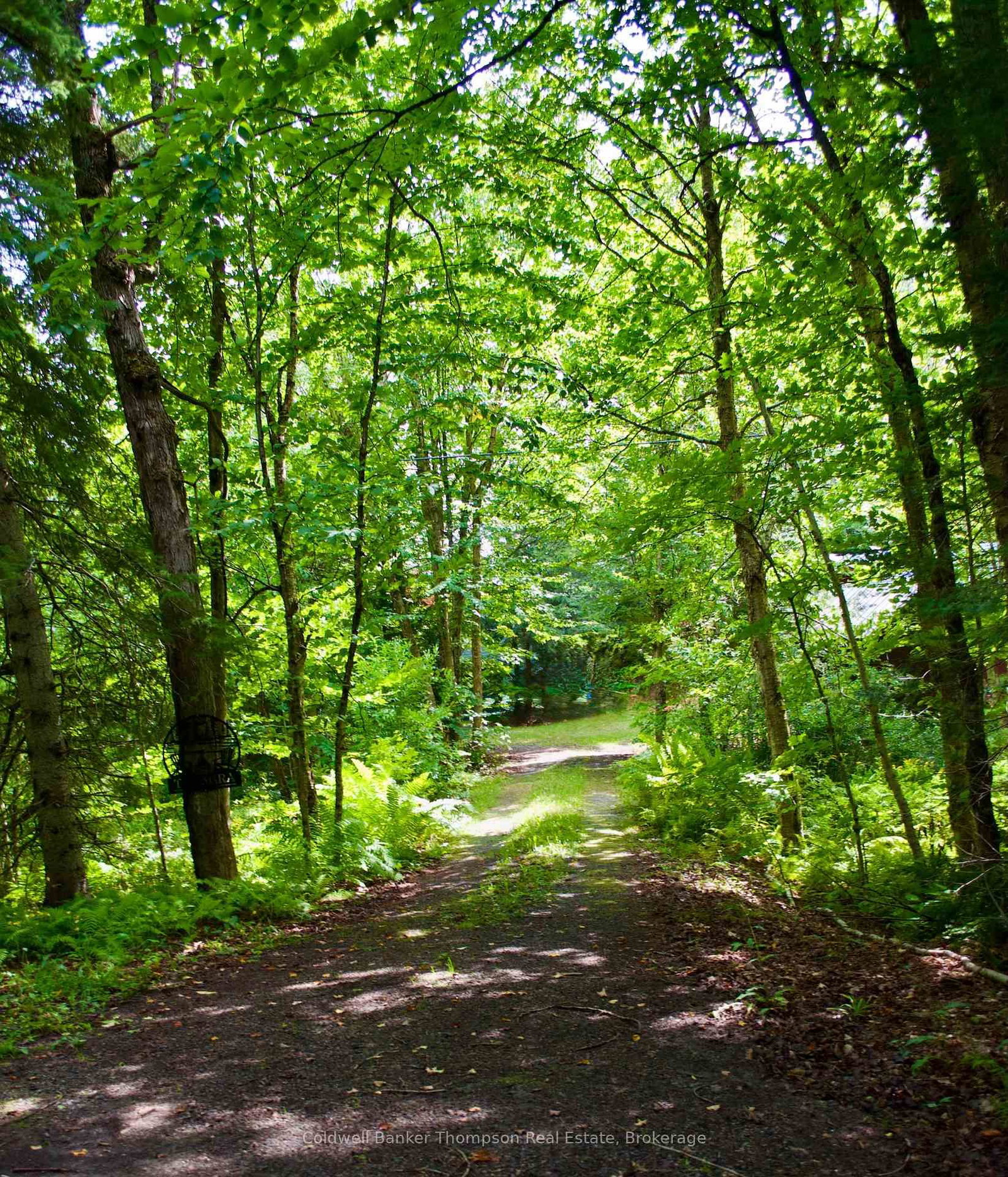 190 Pike Road • Parry Sound Remote Area, ON photo 17