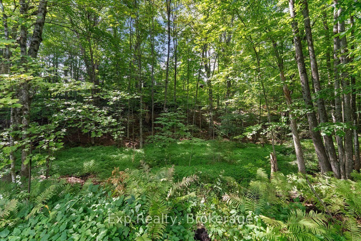 26 Sherbourne Street N • Bancroft, ON photo 41
