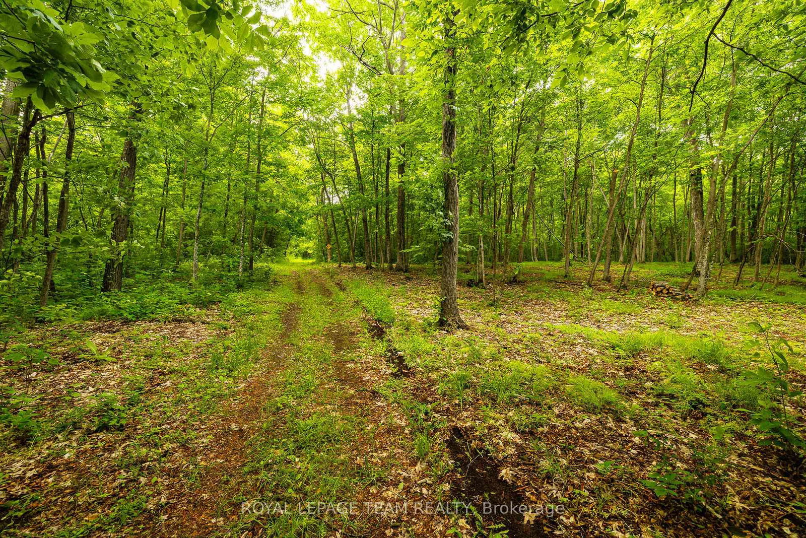 1142 County Road 43 Road • Merrickville-Wolford, ON photo 47