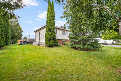 6 Hamilton Drive • Kawartha Lakes, ON photo 3
