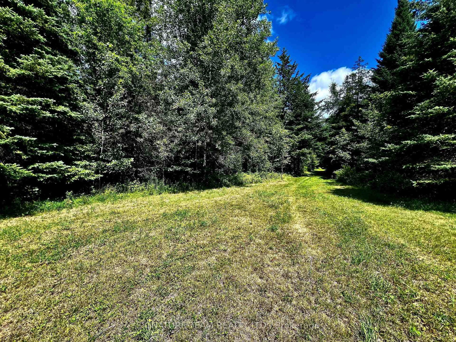 174 Budd Road • Eganville, ON photo 20