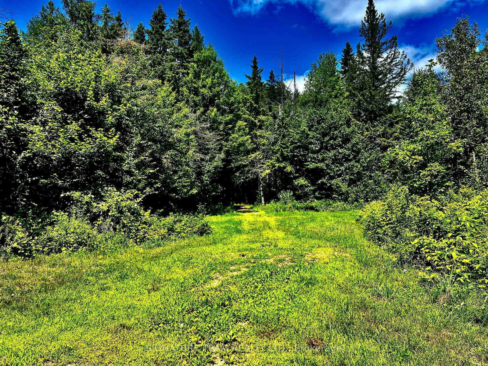 174 Budd Road • Eganville, ON photo 21