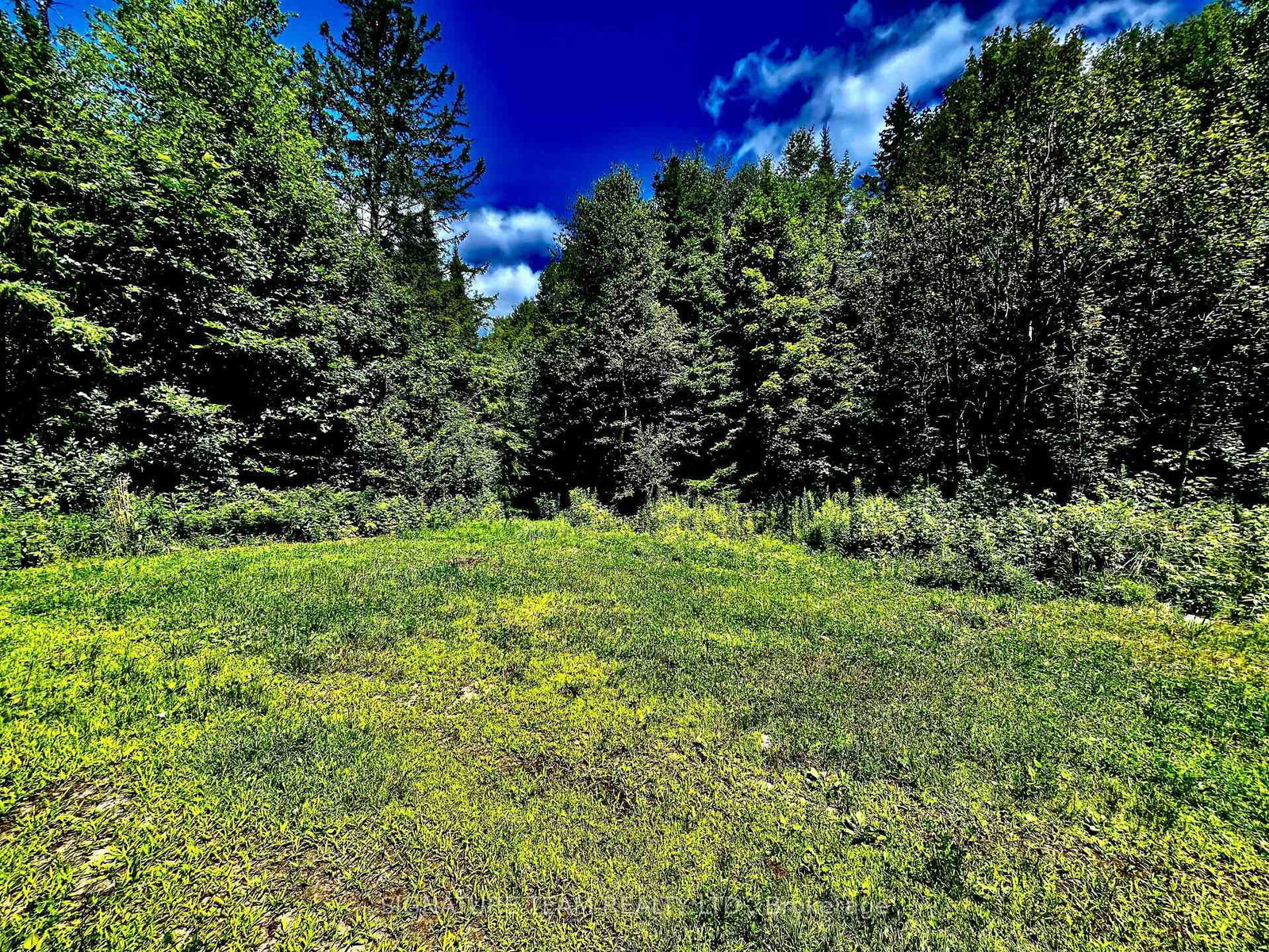 174 Budd Road • Eganville, ON photo 23