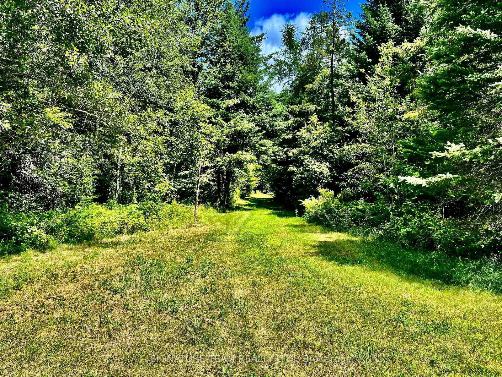174 Budd Road • Eganville, ON photo 27