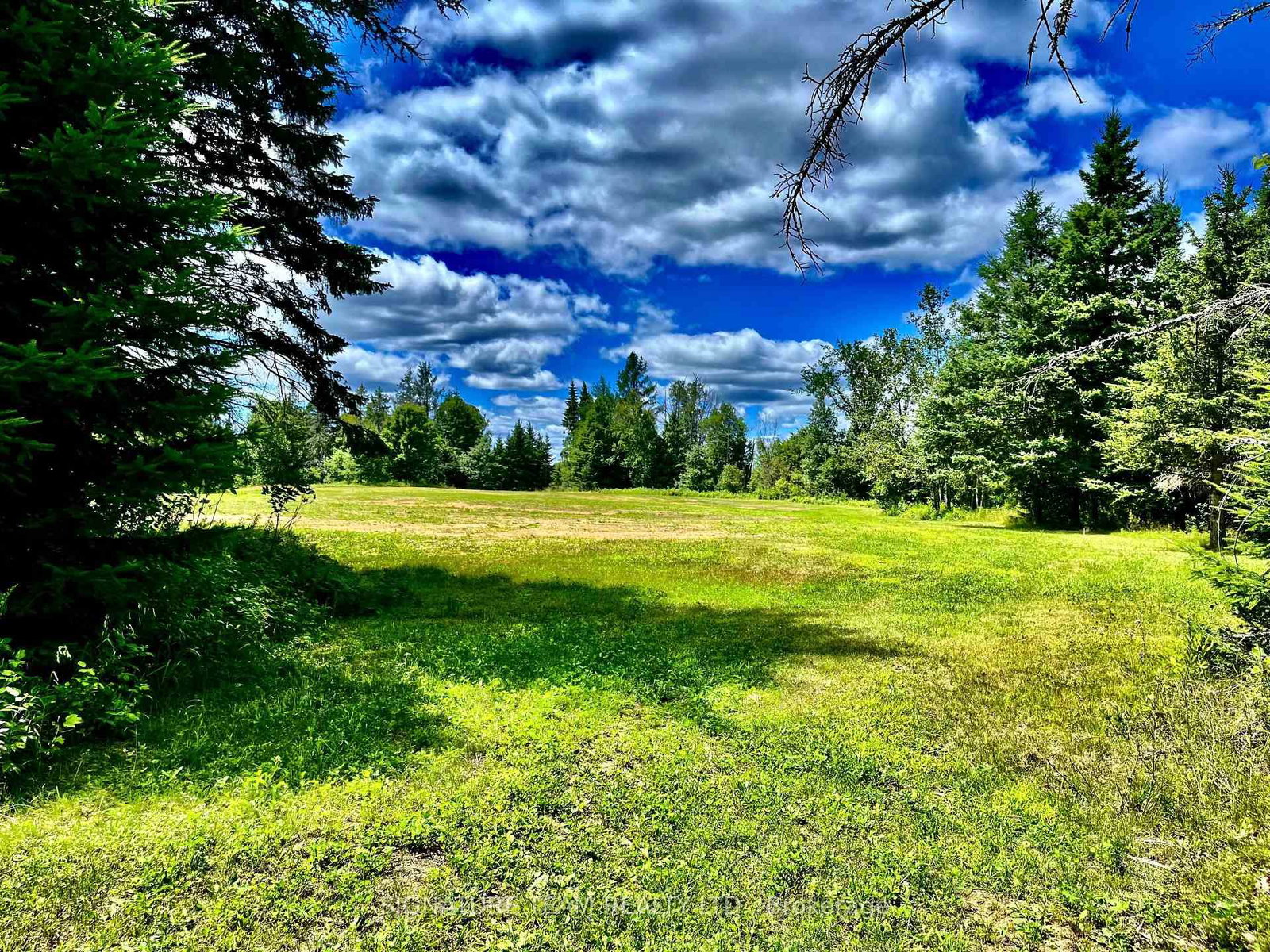 174 Budd Road • Eganville, ON photo 28