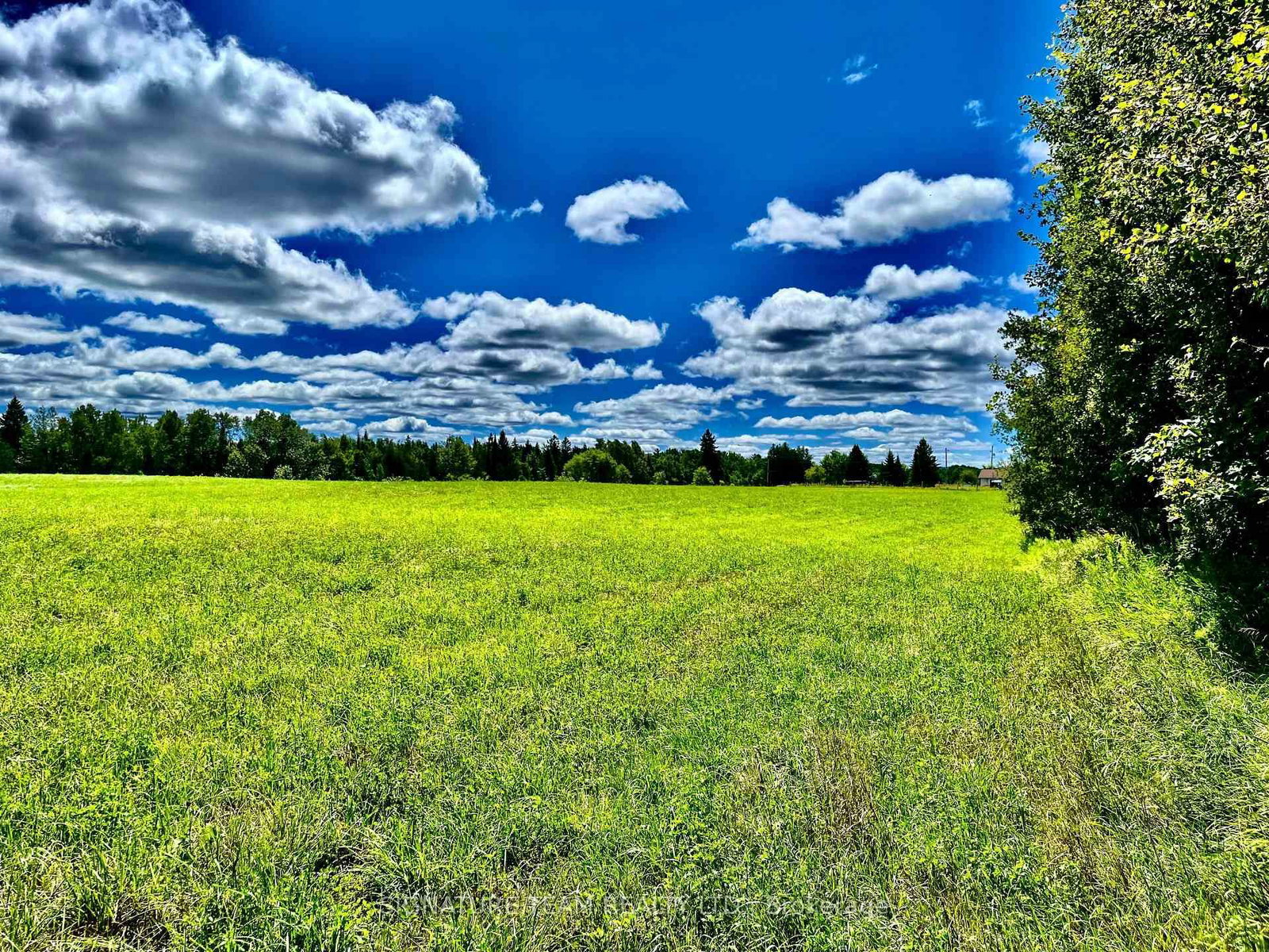 174 Budd Road • Eganville, ON photo 30