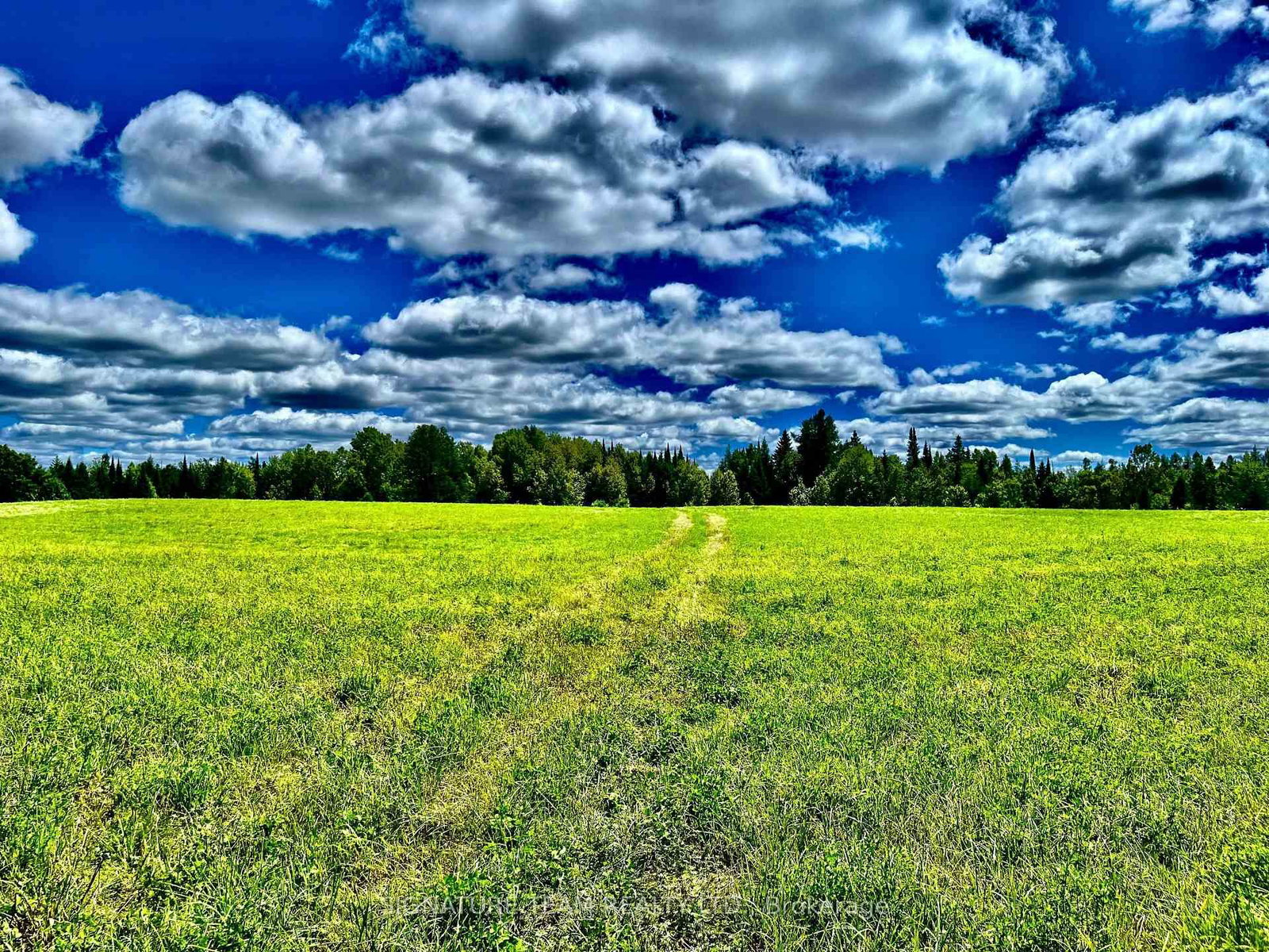 174 Budd Road • Eganville, ON photo 31