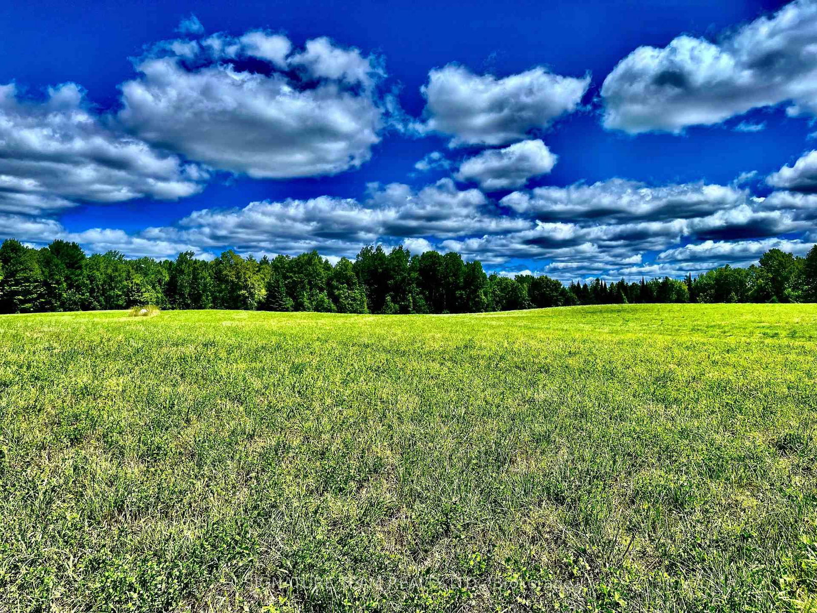 174 Budd Road • Eganville, ON photo 32