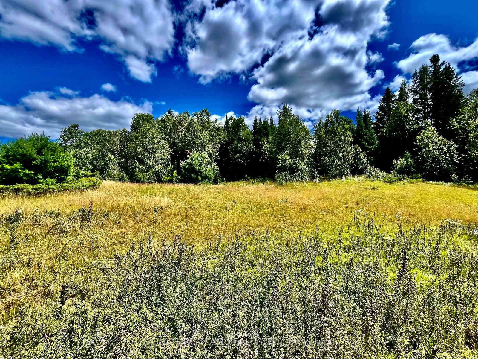 174 Budd Road • Eganville, ON photo 37
