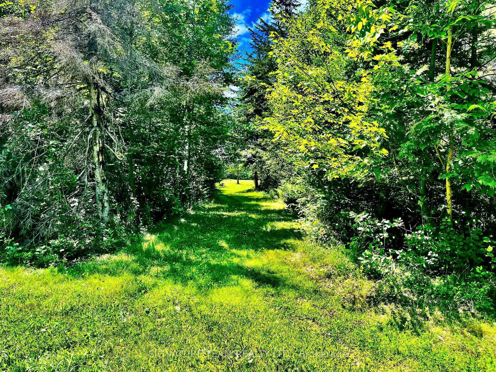 174 Budd Road • Eganville, ON photo 38