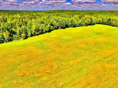 174 Budd Road • Eganville, ON photo 9