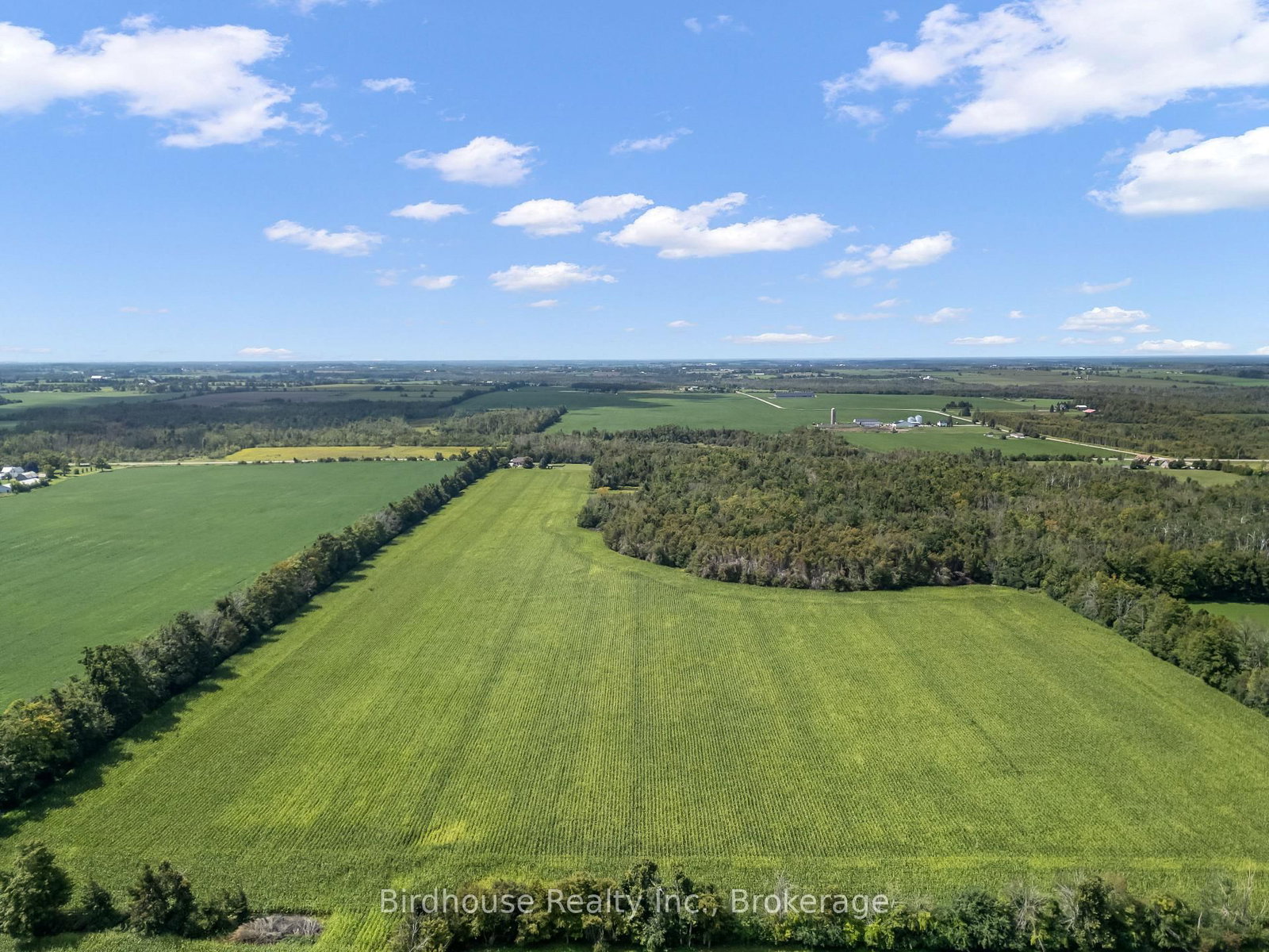 277 Sandhills Road • Kawartha Lakes, ON photo 48