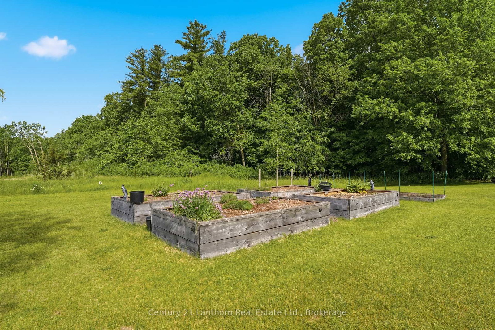 198 Skinkle Road • Trent Hills, ON photo 36