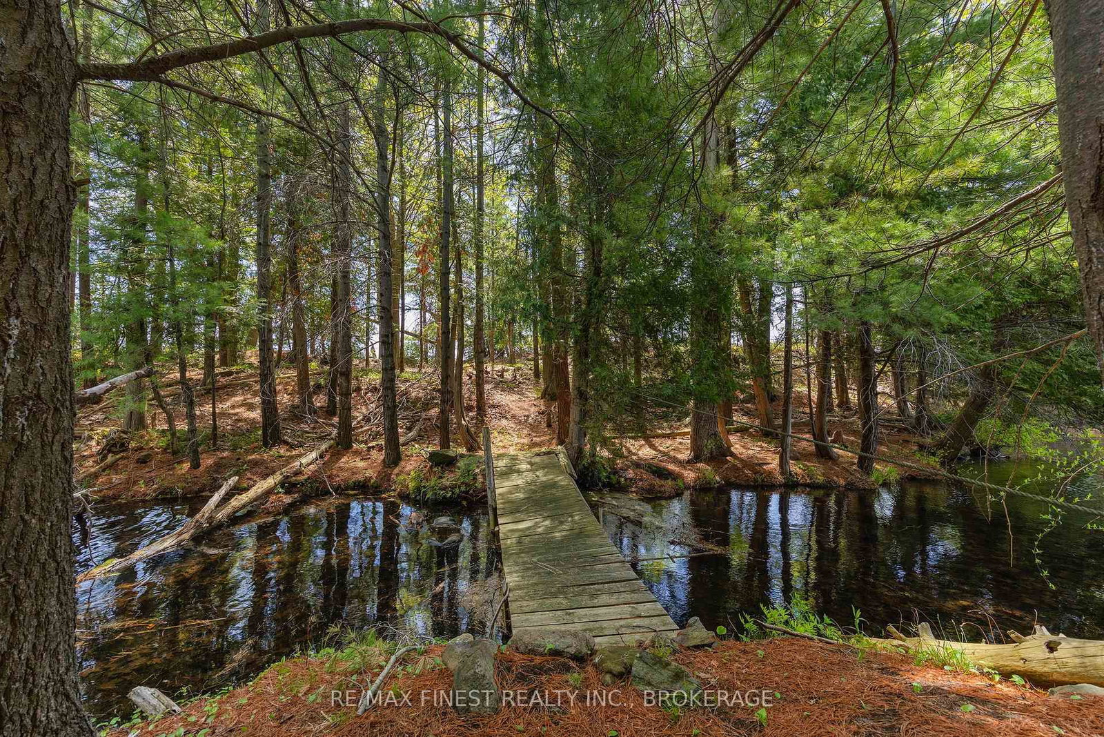 20800 Horseshoe Island • Battersea, ON photo 38