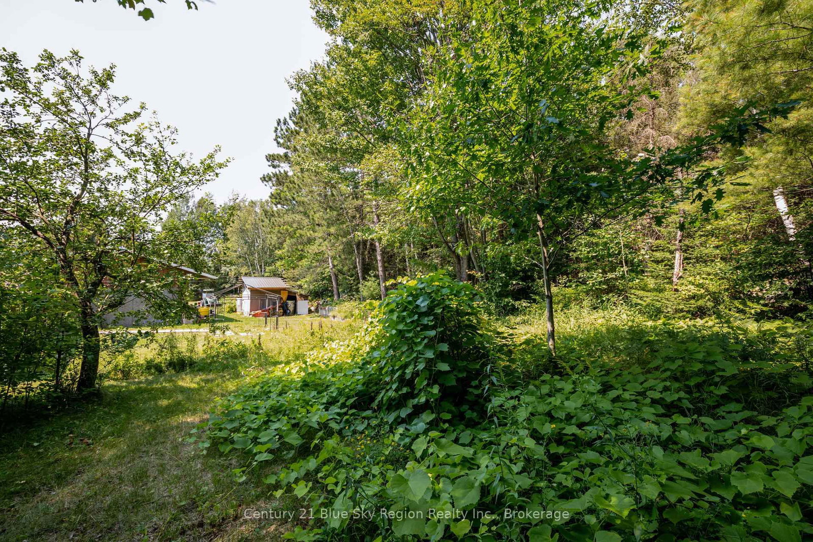 1351 Village Road • East Ferris, ON photo 38