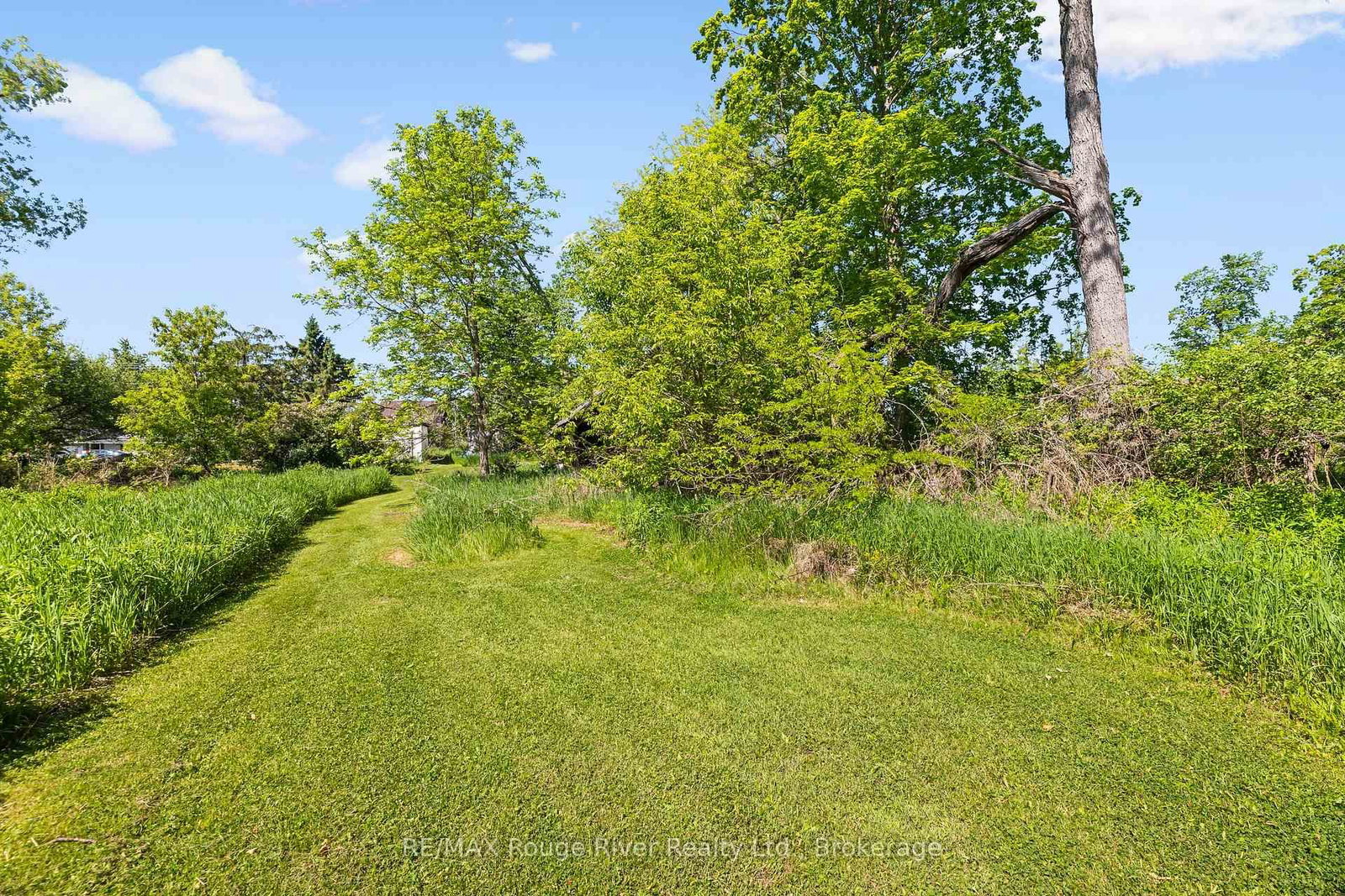 2407 Indian River Line • Otonabee-South Monaghan, ON photo 11