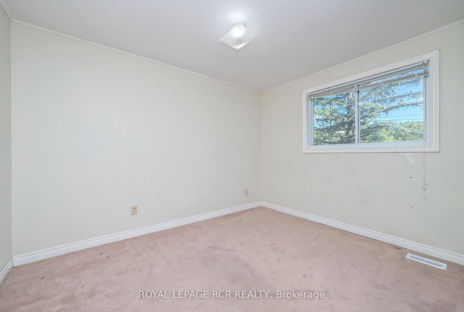 116 Ann Street • Shelburne, ON photo 18