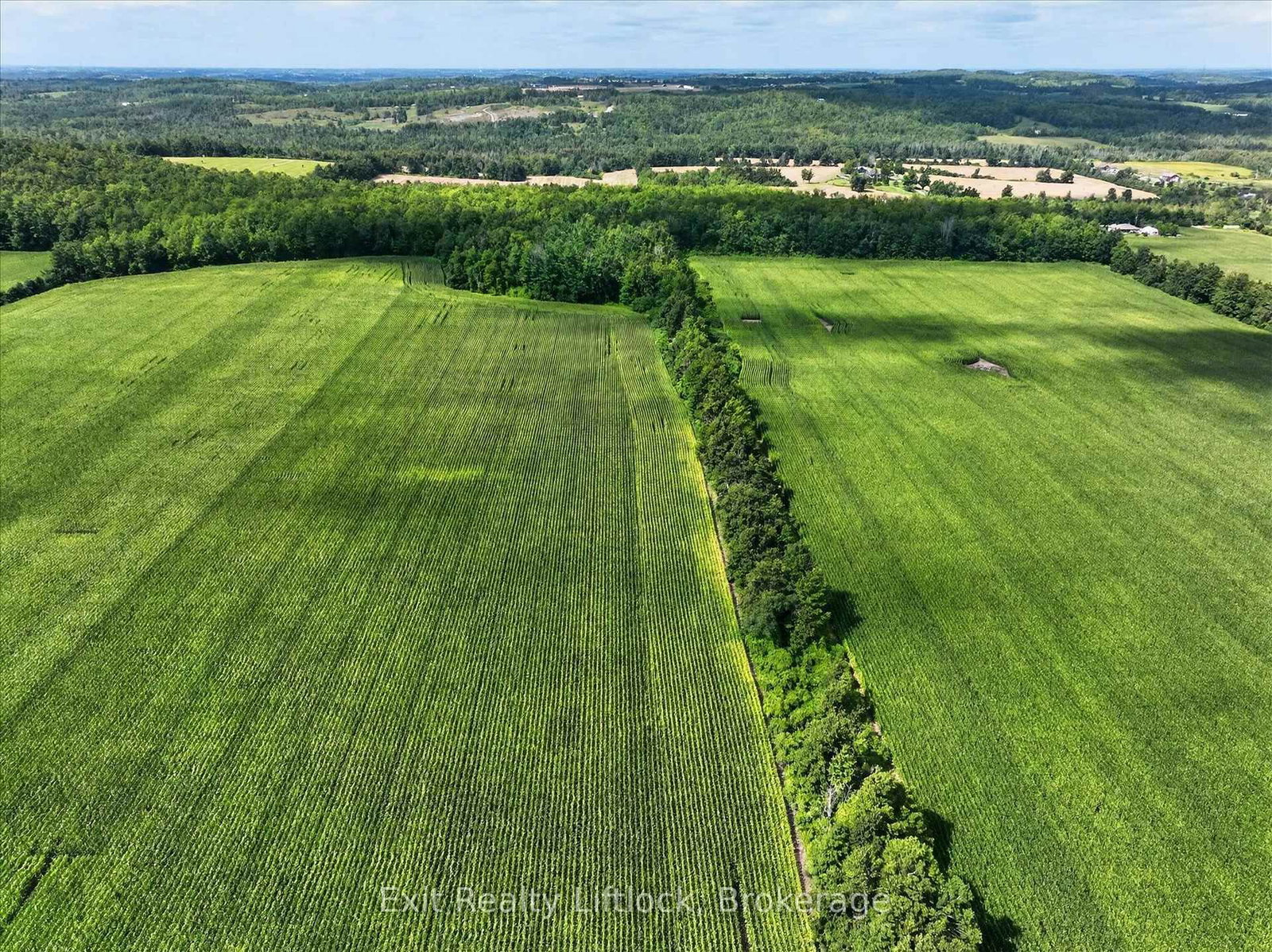 620 Stewart Line • Cavan Monaghan, ON photo 34