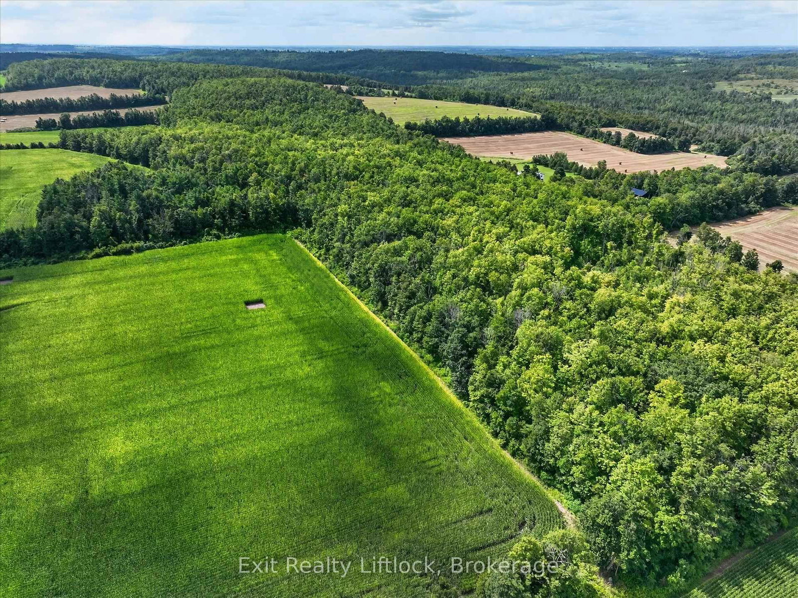620 Stewart Line • Cavan Monaghan, ON photo 35