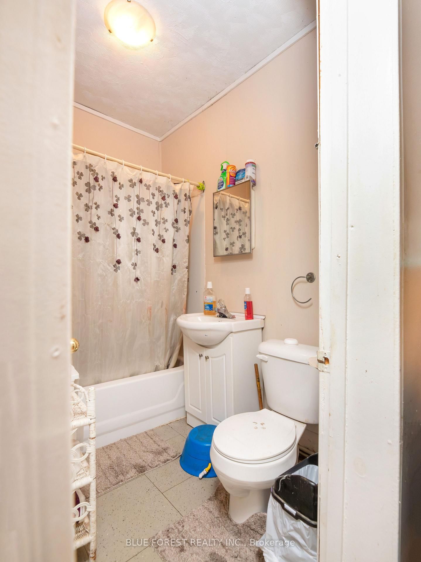 128 West Street • Chatham-Kent, ON photo 37